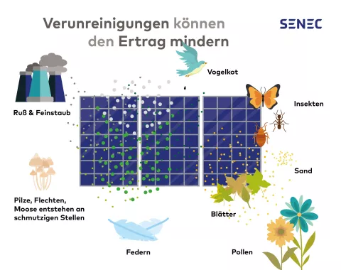 Die Infografik zeigt alle Arten von möglichen Verunreinigungen auf Solarzellen